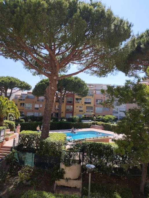Studio 4 Couchages Avec Piscine D'Ete Vue Port Agde Exterior foto